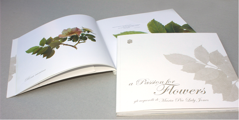 copertina e dettagli libro